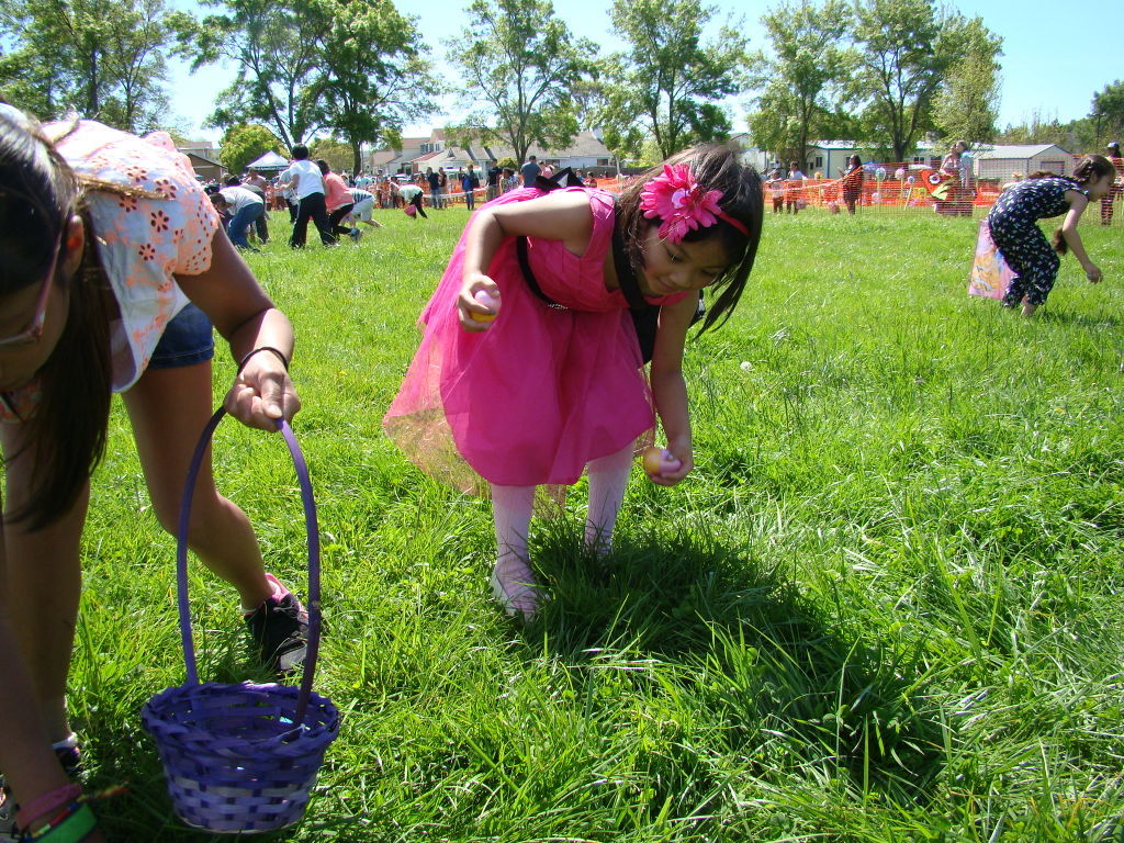 AmCan Egg Hunt